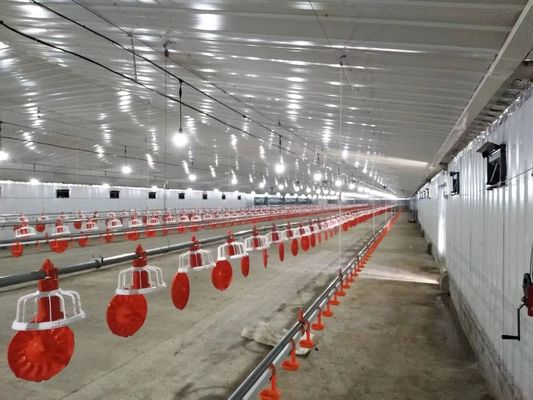 जस्ती इस्पात संरचना पोल्ट्री हाउस चिकन कोप पूर्वनिर्मित फार्म भवन अनुकूलित
