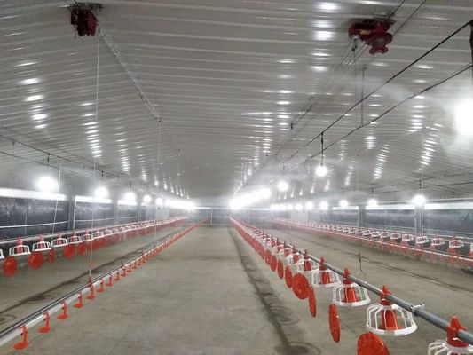 जस्ती पूर्वनिर्मित इस्पात संरचना पोल्ट्री हाउस चिकन हाउस Coop अग्निरोधक