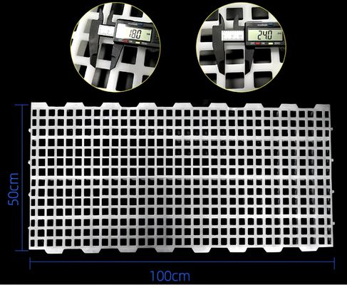 पोल्ट्री फार्म प्लास्टिक स्लैटेड फ्लोर ब्रोइलर हाउस 2kg 16*16mm / 20*26mm छेद