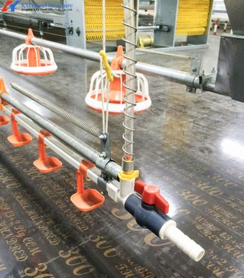 अनुकूलित स्टील चिकन फार्म, हल्के स्टील फ्रेम फार्म भवन