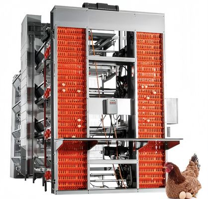 एक प्रकार बैटरी परत चिकन पिंजरे स्वचालित चिकन पोल्ट्री फार्मिंग उपकरण
