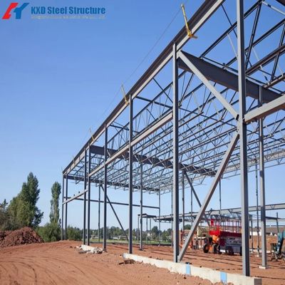 Free Design Prefabricated Building Widely Used for Warehouse Workshop